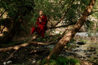 Buddhist monk sitting quietly in a forest.