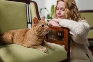 Woman petting an orange tabby cat at home.