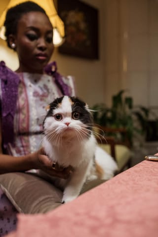 Woman holding a white cat in an indoor portrait.