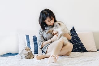 Woman cuddling a fluffy white cat on a bed.