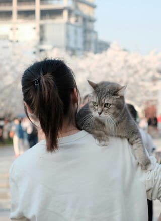 Woman carrying a gray cat in the city.