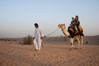 Camel desert tour man traditional travel scene.