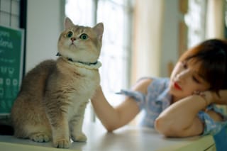 Cat at home woman relaxing cozy lifestyle.