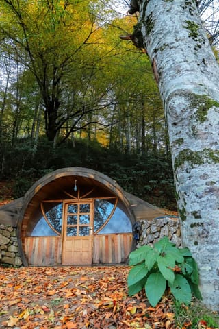 Hobbit house forest autumn cabin landscape.