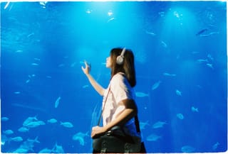 Woman aquarium underwater exhibit travel.