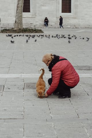 Woman with dog pigeons city plaza pet lifestyle.